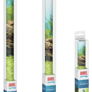 JUWEL Poster XL Pflanze/Stein 150 x 60 cm Sichere Zahlung